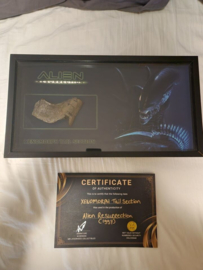 Alien Resurrection Original Screen Used Xenomorph Tail Section Piece Movie Prop