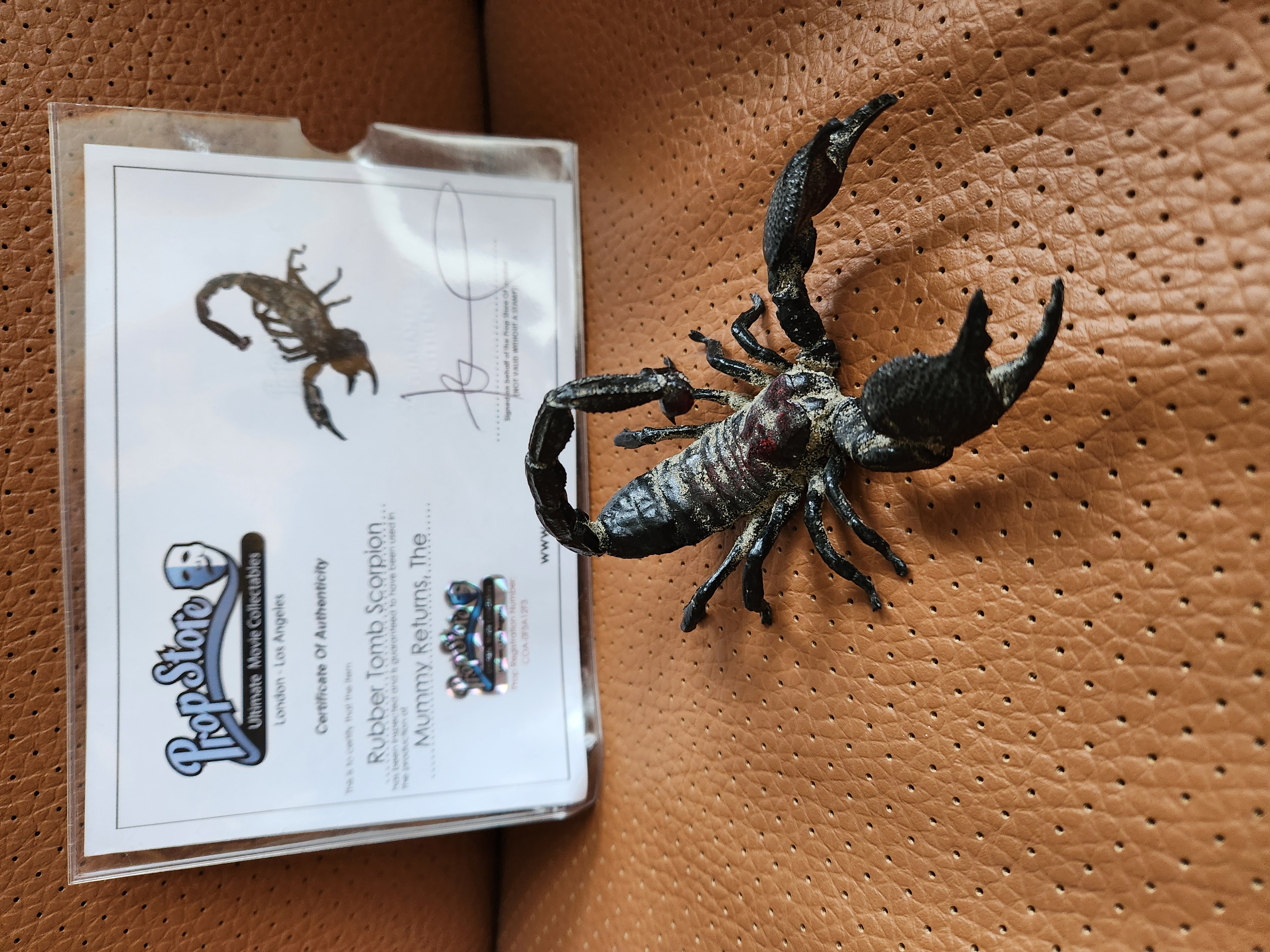 The Mummy Returns (2001) Original Screen Used Mummy Tomb Scorpion Movie Prop