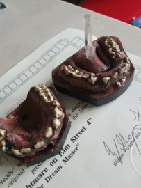 Nightmare on Elm Street 4 Lifesize Freddy Krueger Teeth Original Mold Movie Prop REPLICA