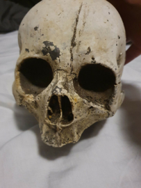 Cursed Netflix Original Screen Used Skulls and Bones Movie Prop