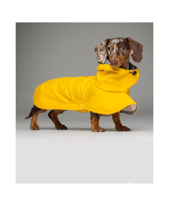 PRESALE Teckel regenjas Mt xs kaninchen rug 33