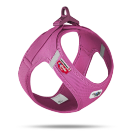Curli harnas fushia kleur maat xxxsmall ook perfect voor teckels puppy dogfinder