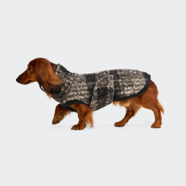 PRESALE Teckel sweaterCloud 7