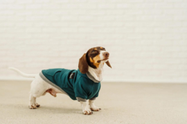 Hoodie groen Sweater  mt 43 rug met gaatje voor harnas