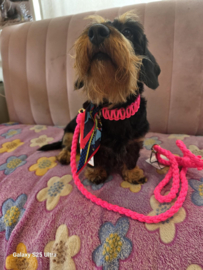 Halsband roze fluo   biothane/paracord sjaal Nova