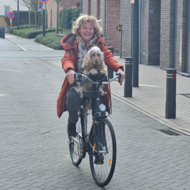 Buddyrider  Versie 2 nieuw model 2024  fiets mand voor elk ras tt 12 kg Test rit mogelijk in onze shop