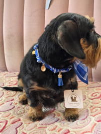 Honden sjaal /bandana blue retro