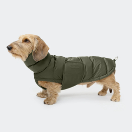 Premium regen puffer  teckel jas met opening voor harnas LIMITED mt 2-3-4-5-6 Cloud 7