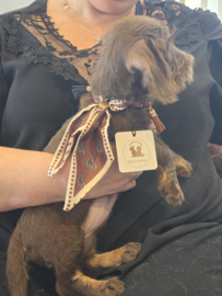 Honden sjaal /bandana donkerbruin