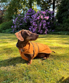 Fifi  TECKY teckel regenjas ruglengte 33-36-39-43-47 MET PELS