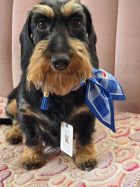 Honden sjaal /bandana blue retro