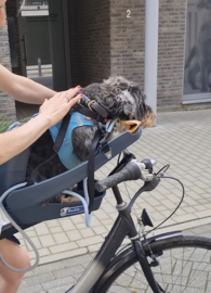 Buddyrider  Versie 2 nieuw model 2024  fiets mand voor elk ras tt 12 kg Test rit mogelijk in onze shop