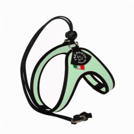 Treponti harnas liberta reflective mintgreen katn & hond   Maat 1 teckels