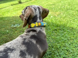 Nata'chien halsband kralen xs10 leder Poppy