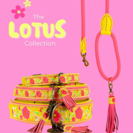 DWAM lotus  S 27-33 2cm