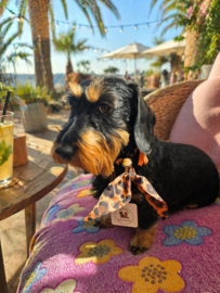 Honden sjaal /bandana Leo