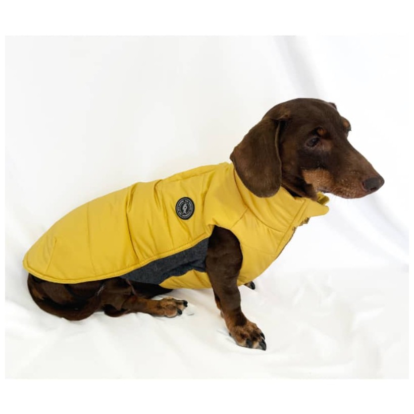 PRESALE Puffer regenjas super licht xs goudgeel