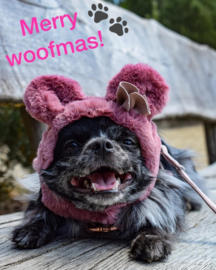 Muts hond roze of  bruin  of kakigroen