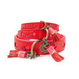 DWAM Rode /roze LEDER  halsband large /4CM breed