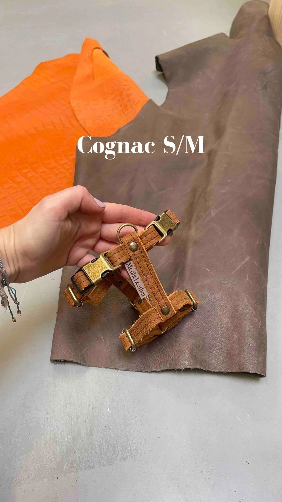 Nieuw lederen harnas tuig  large Cognac