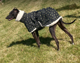 Windhond greyhound enz.. Softshell regenjas xs