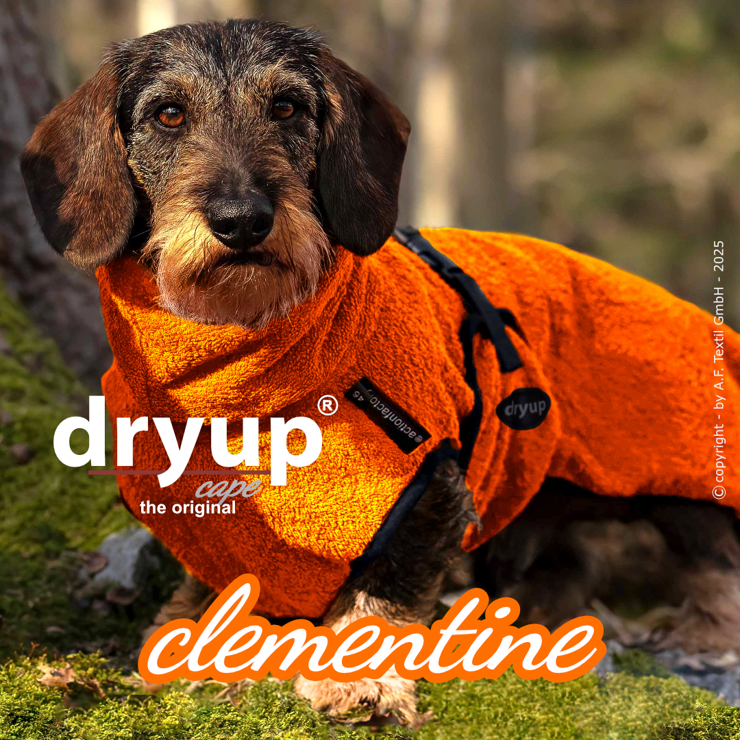 Dryup badjas teckel clementine  kleur  maat 33 RUG TECKEL