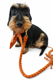 Halsband oranje  biothane/paracord