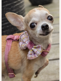 Fifi harnas  Small  verstelbaar soft  roze  met strik teckel