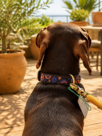 Il mio lederen halsband new collection