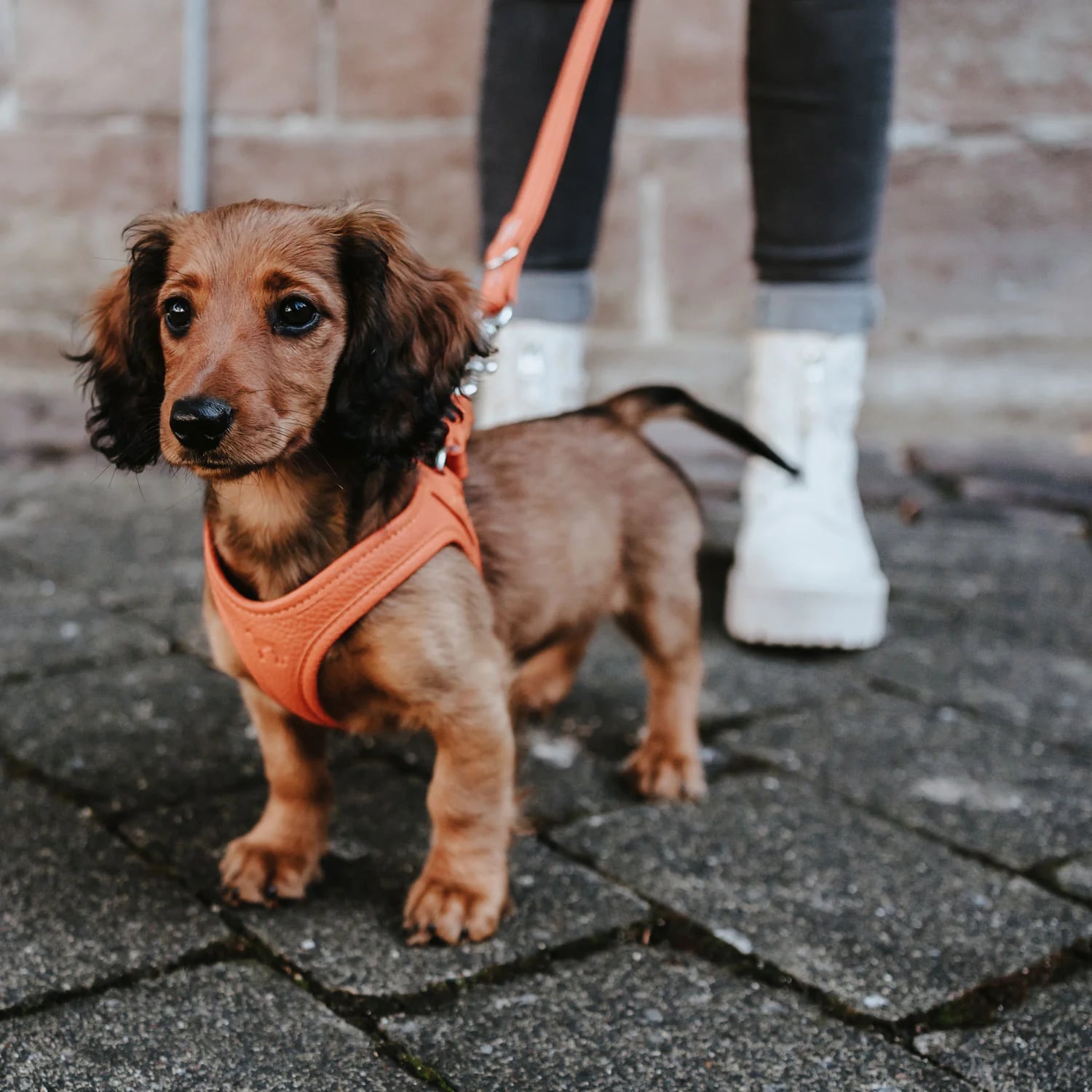 HARNAS soepel leder oranje  S