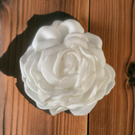 Camelia Wit groot