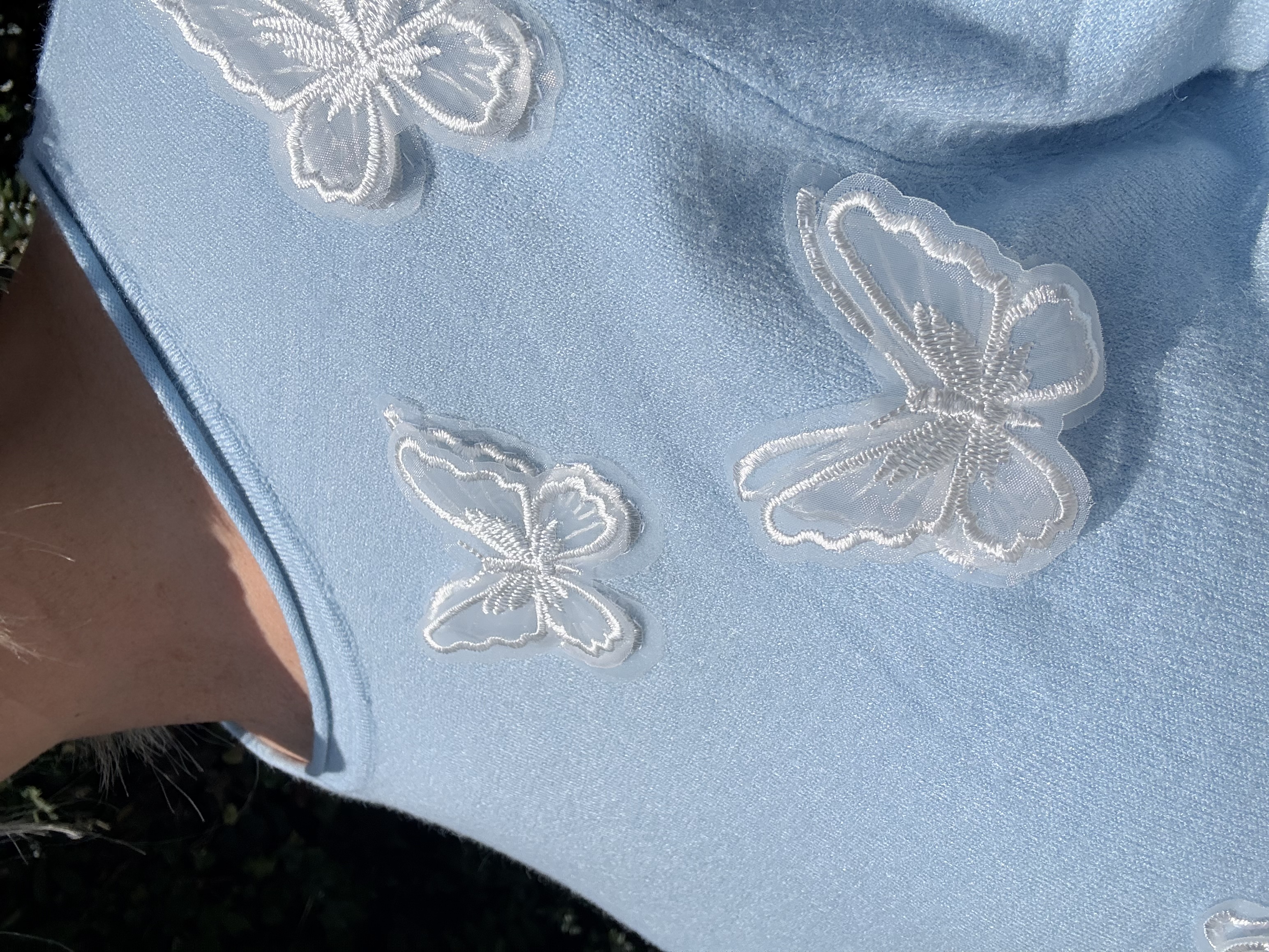 Butterfly