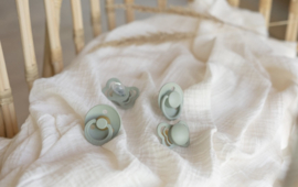 BIBS Try It Collection Sage