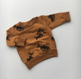Sweater Karpers Maat 62