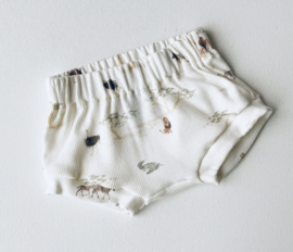 Short Safari Maat 62