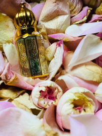 'Into the Future' olieflesje - 10 ml