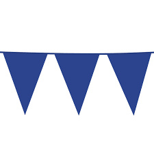 Vlaggenlijn blauw standaard 10 mtr
