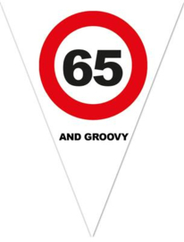 Verkeersbord vlag 65 5 mtr