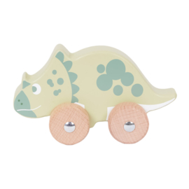 Houten dino