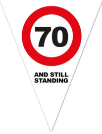 Verkeersbord vlag 70 5 mtr