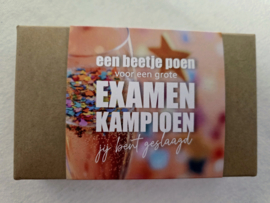 Examen Kampioen