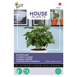 Koffieplant