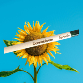 Bloom your message 