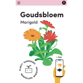 Makkelijke Moestuin 