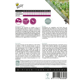 Microgreens, Borage (komkommerkruid)