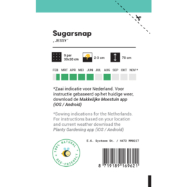Sugarsnap