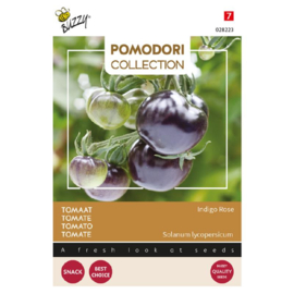 Tomaat Indigo rose (zwart)