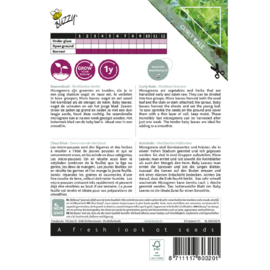 Microgreens, Boerenkool Westlandse Herfst