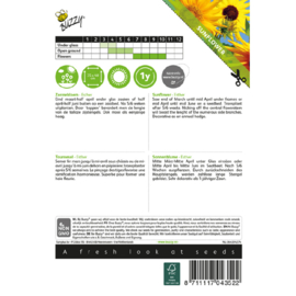 Helianthus, Zonnebloem Esther