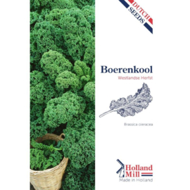Boerenkool Westlandse Herfst